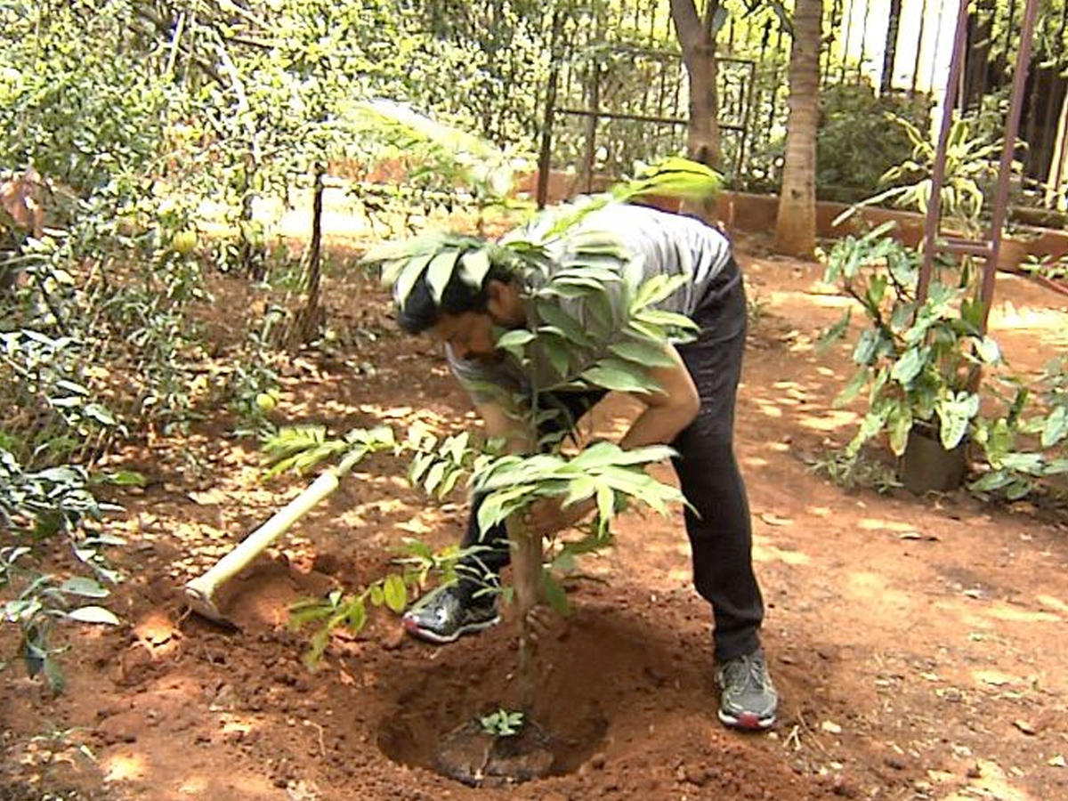  Megastar Takes Up The Green Challenge Photo Gallery - Sakshi1