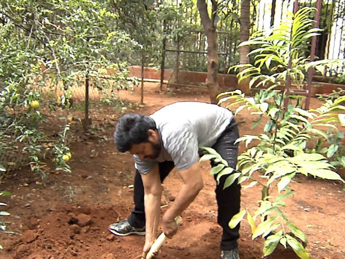  Megastar Takes Up The Green Challenge Photo Gallery - Sakshi4