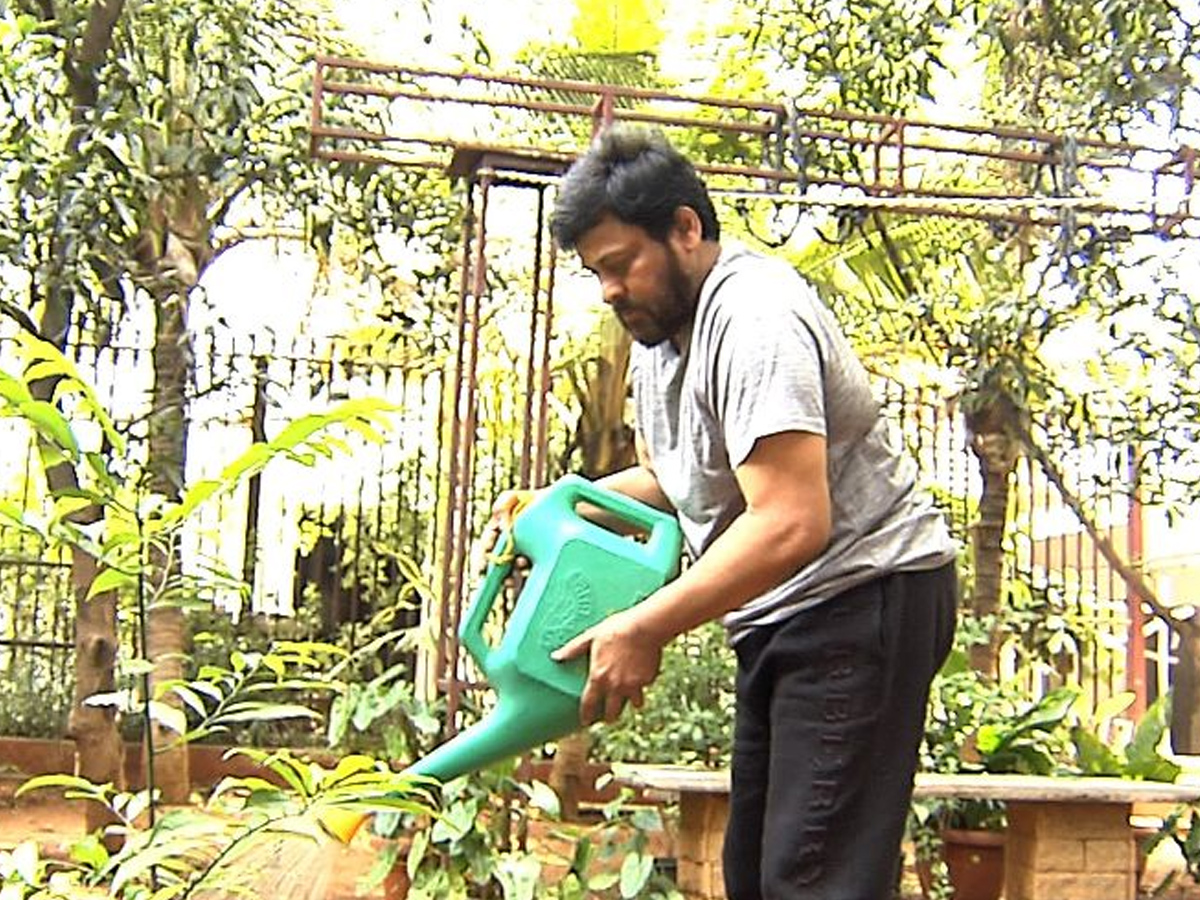  Megastar Takes Up The Green Challenge Photo Gallery - Sakshi5