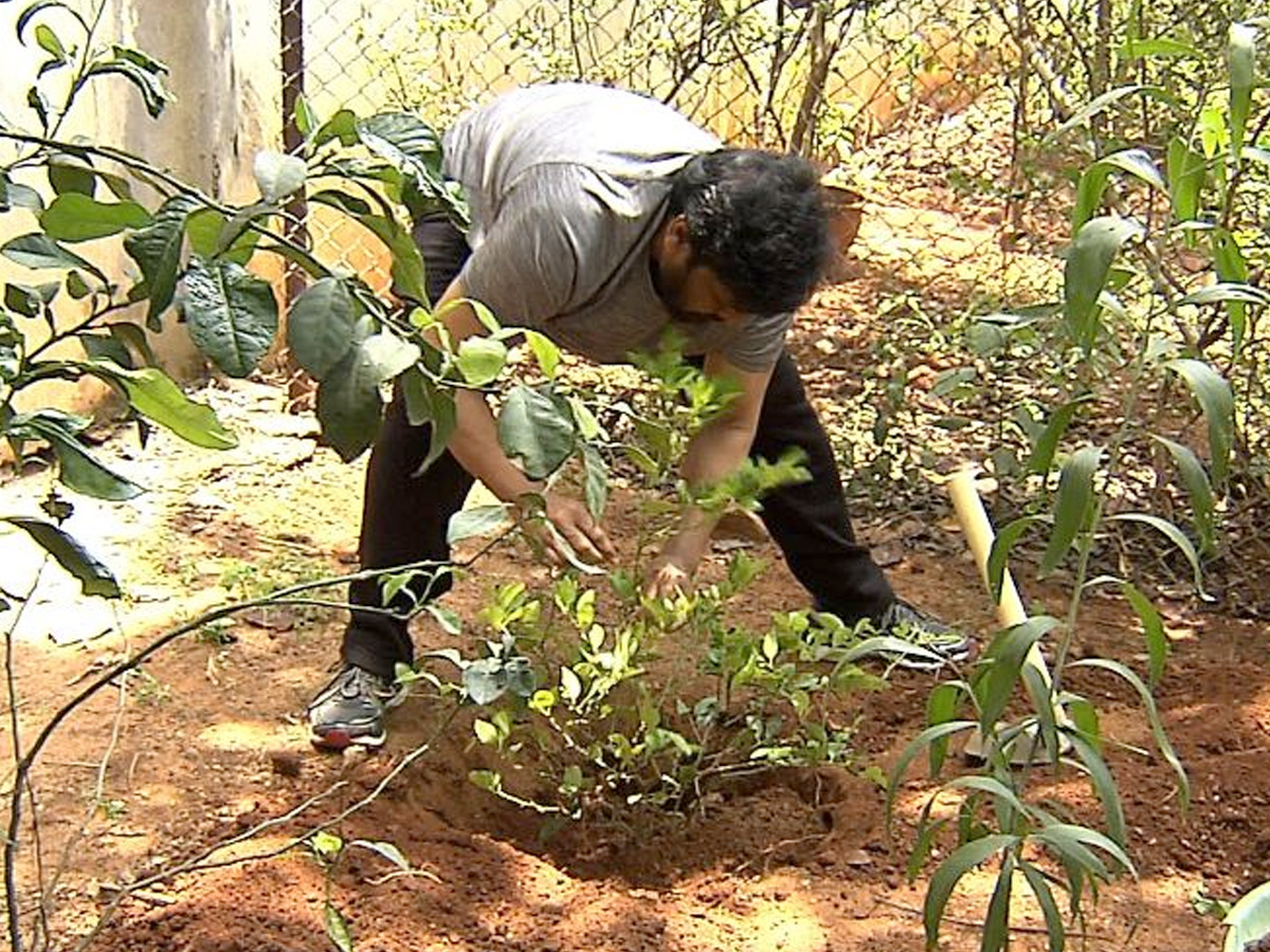  Megastar Takes Up The Green Challenge Photo Gallery - Sakshi7