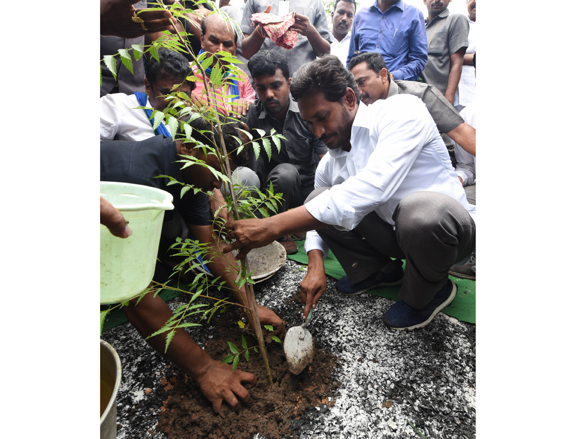 Ys Jagan Padayatra Photo Gallery - Sakshi19