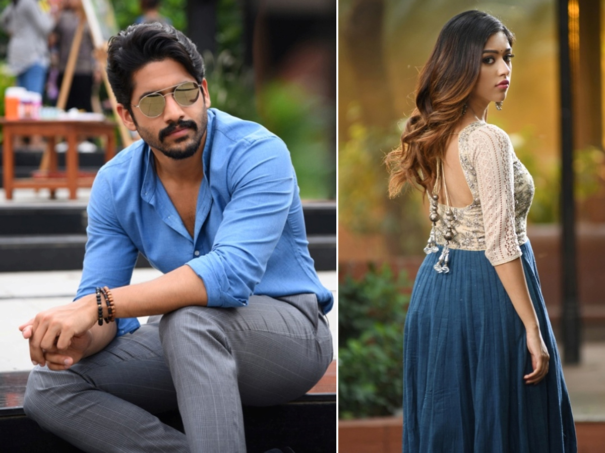 Sailaja Reddy Alludu Movie Stills Photo Gallery - Sakshi8