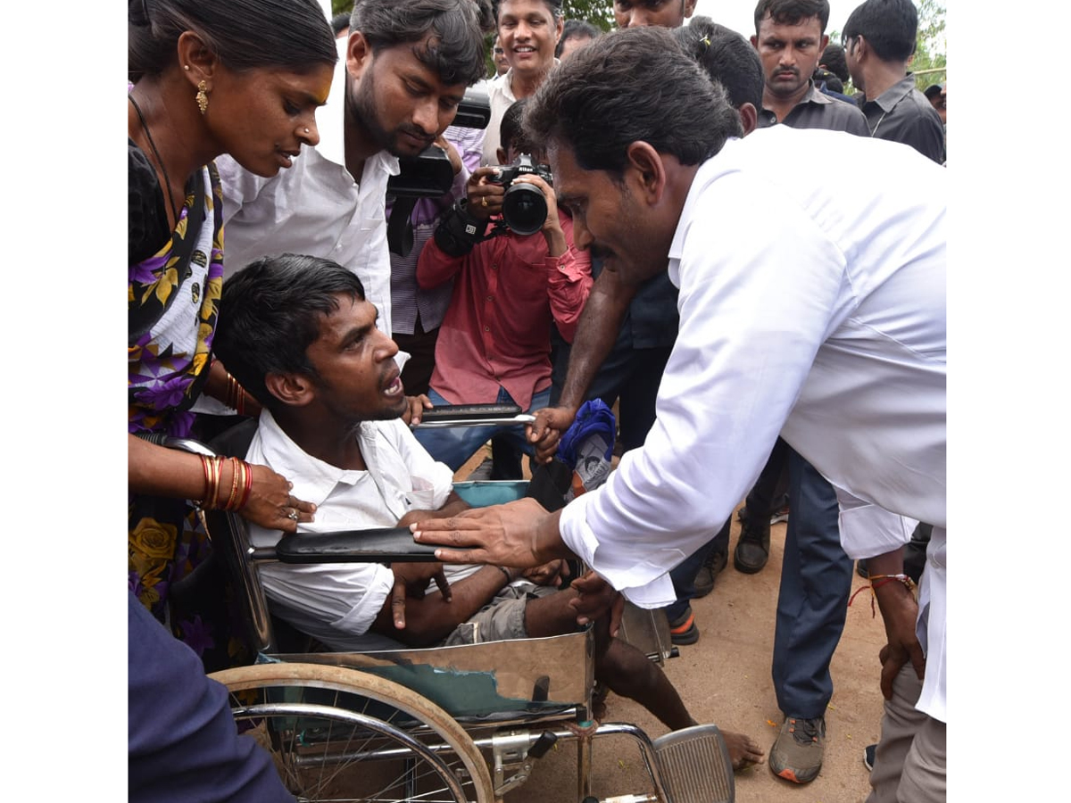 YS Jagan PrajaSankalpaYatra Day 234 Photo Gallery - Sakshi24