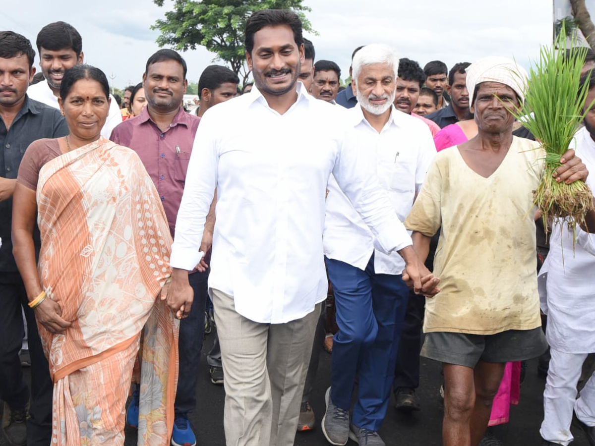 ys jagan prajasankalpayatra day 240 Photo Gallery - Sakshi12