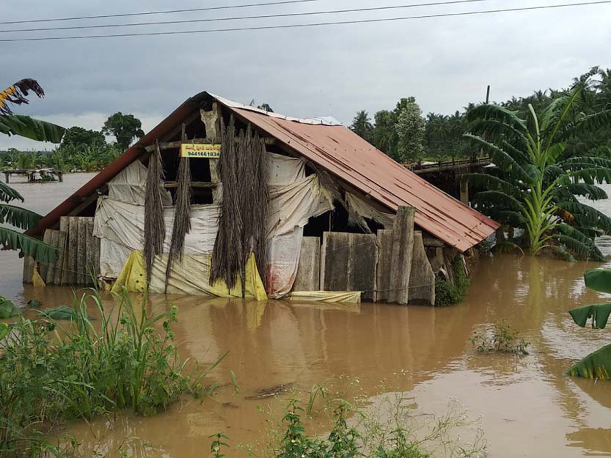 Heavy Rain in Andhra Pradesh - Sakshi19