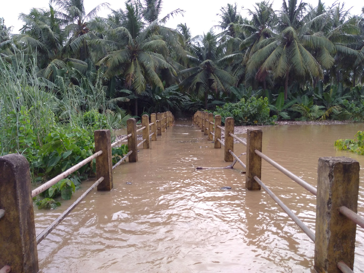 Heavy Rain in Andhra Pradesh - Sakshi23