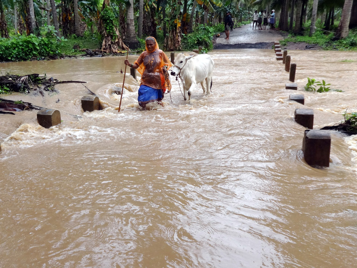 Heavy Rain in Andhra Pradesh - Sakshi25