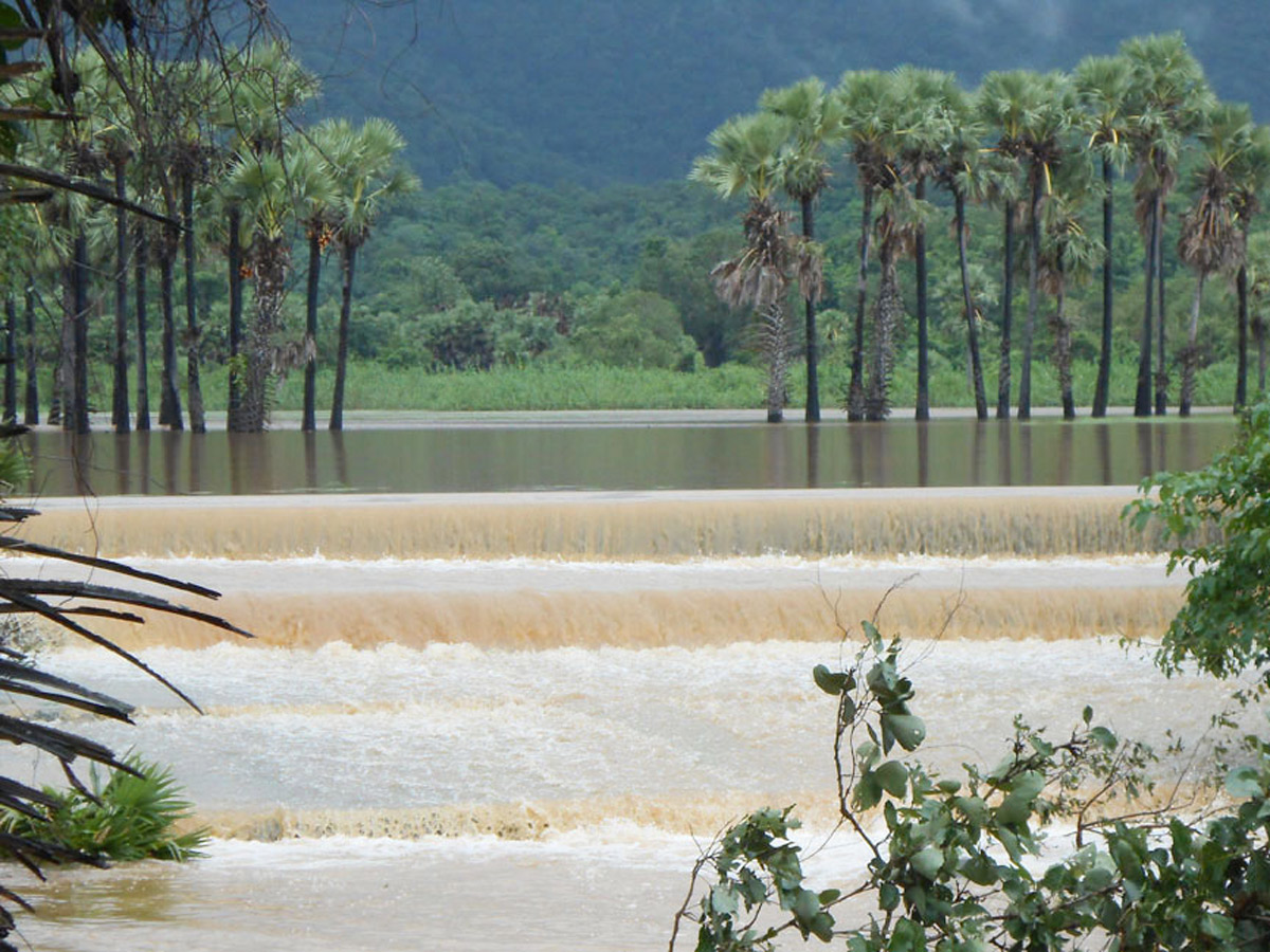 Heavy Rain in Andhra Pradesh - Sakshi29