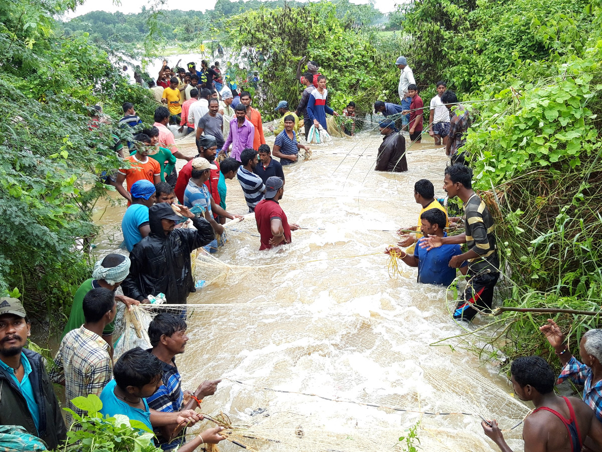 Heavy Rain in Andhra Pradesh - Sakshi54