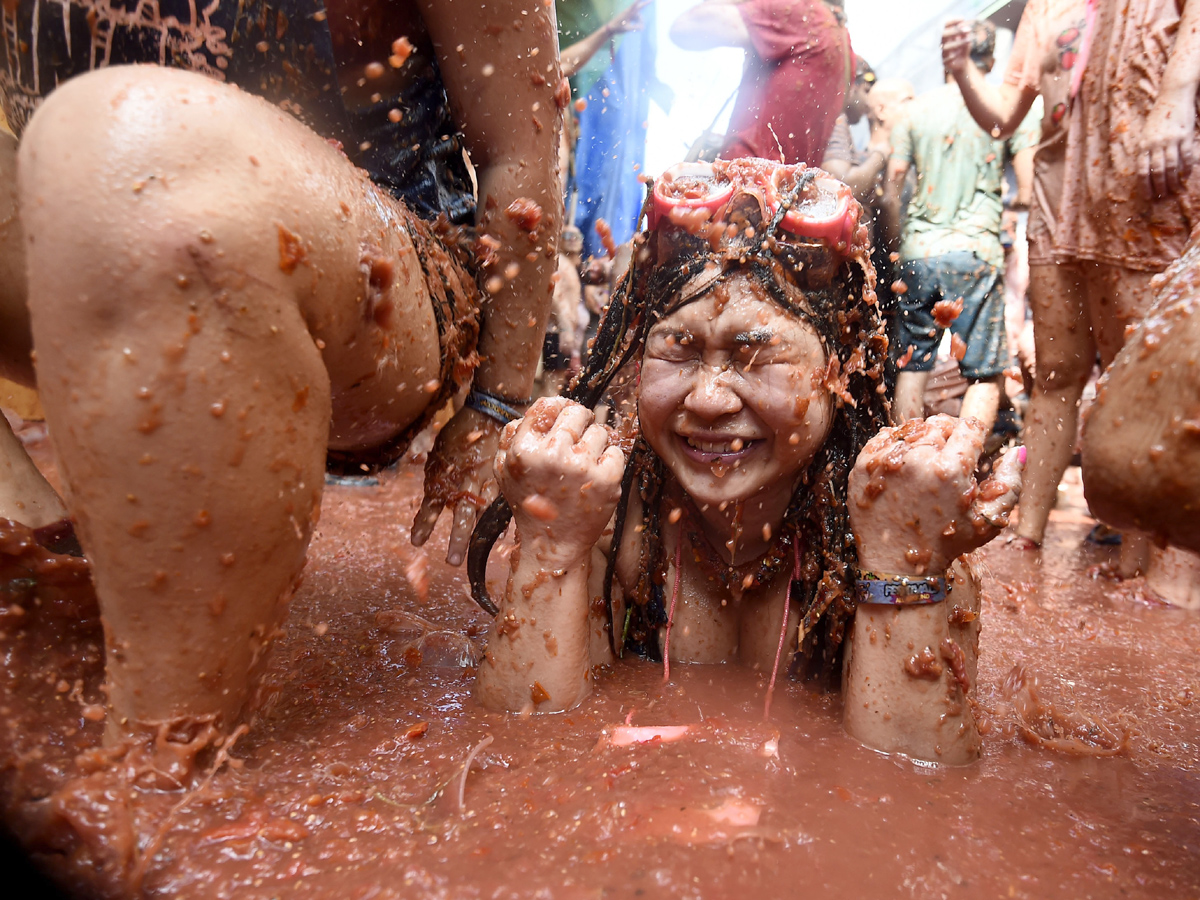  Tomatina festival in spain Festival Photo Gallery - Sakshi9