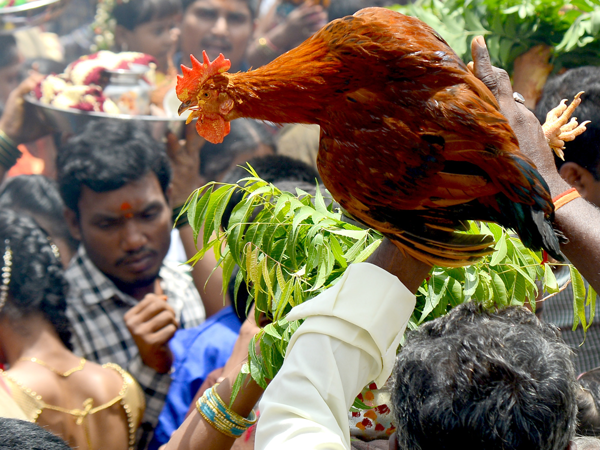 Lal Darwaza Bonalu Celebrations Photo Gallery - Sakshi12