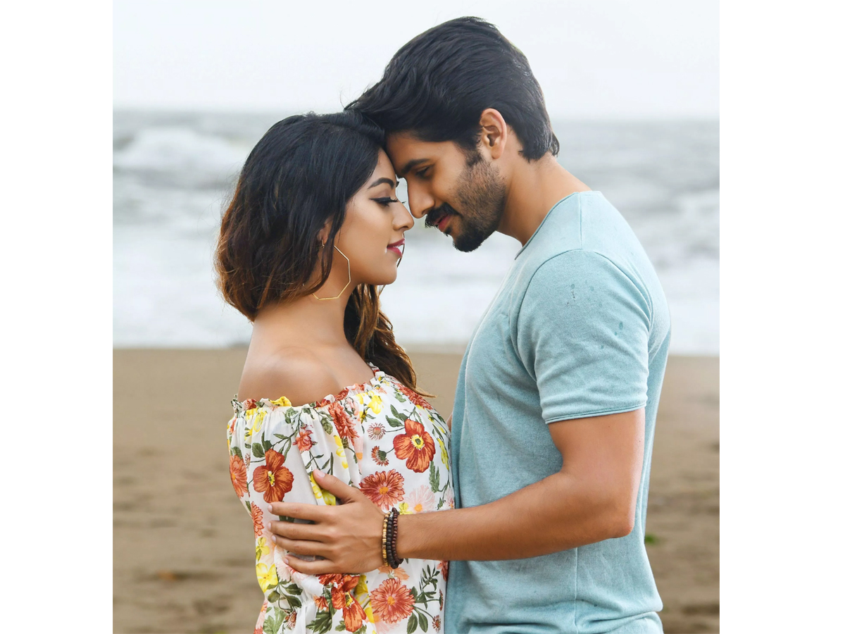 Sailaja Reddy Alludu Movie Stills Photo Gallery - Sakshi11