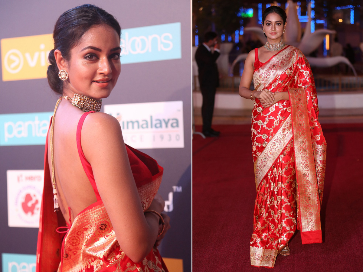 SIIMA Awards Red Carpet 2018 Photo Gallery - Sakshi11