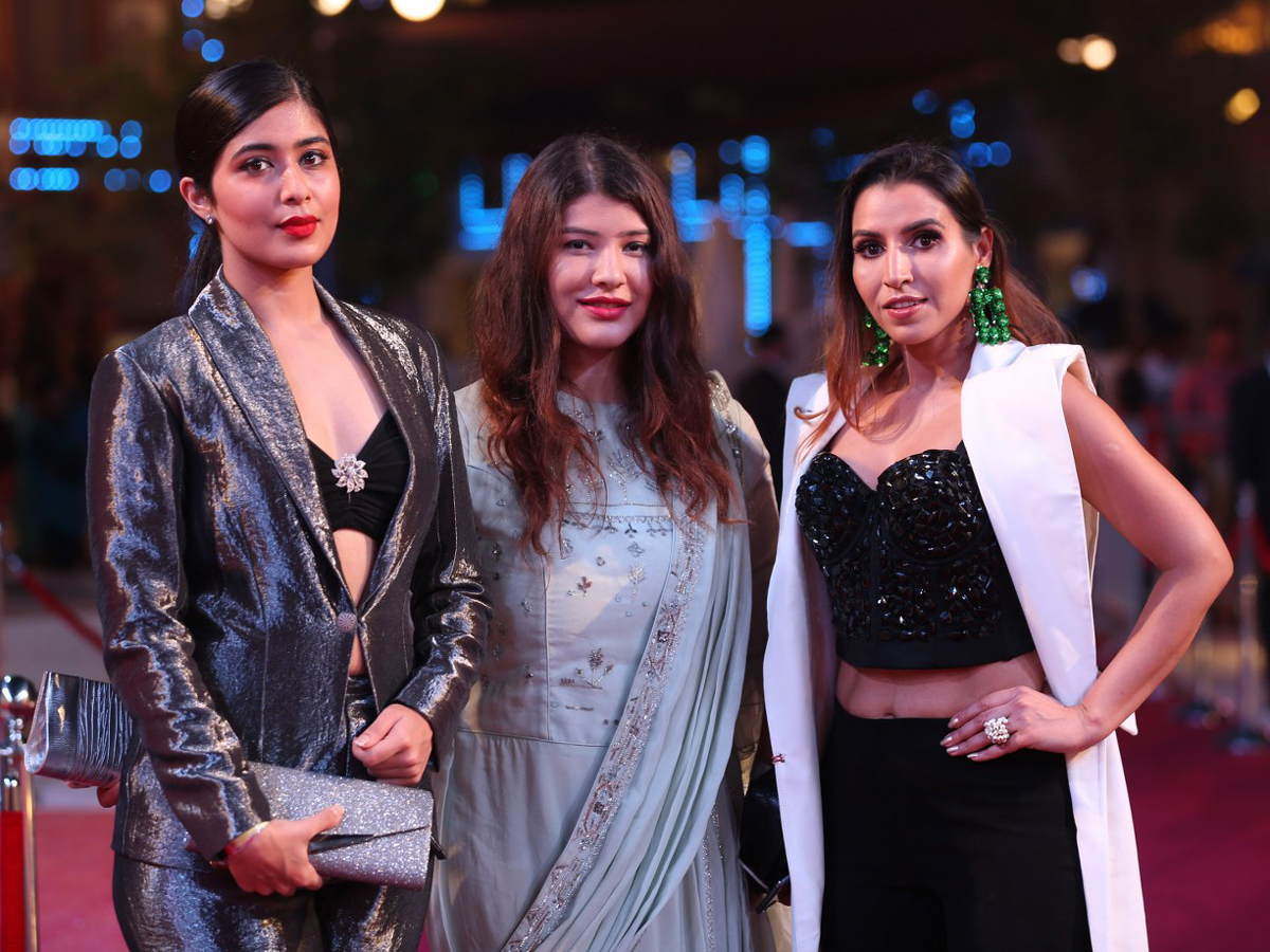 SIIMA Awards Red Carpet 2018 Photo Gallery - Sakshi13