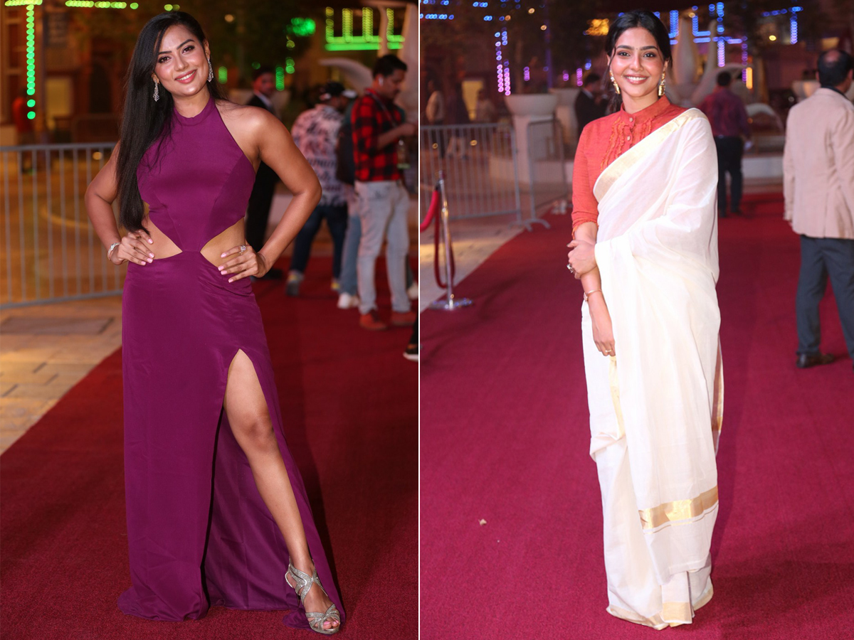 SIIMA Awards Red Carpet 2018 Photo Gallery - Sakshi16