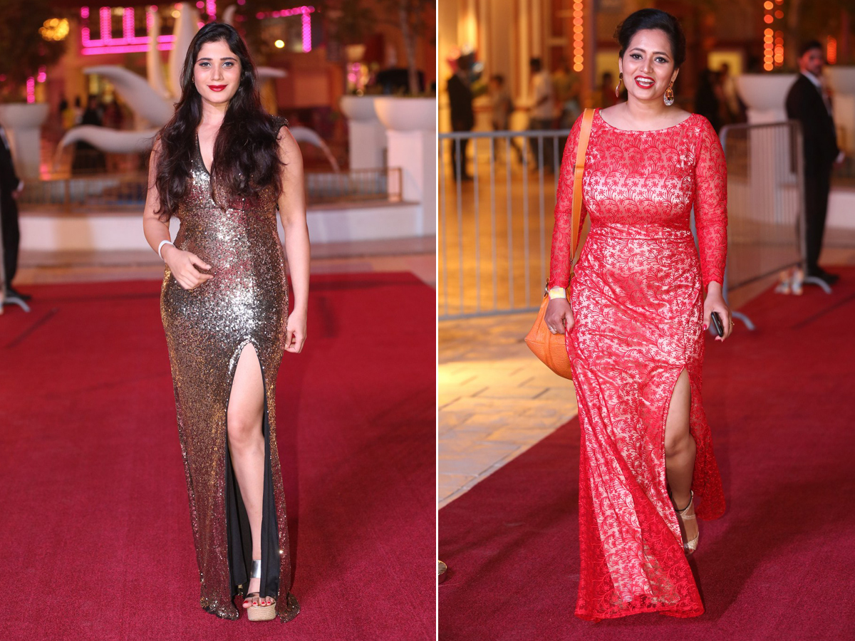 SIIMA Awards Red Carpet 2018 Photo Gallery - Sakshi17