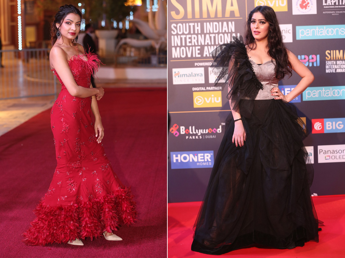 SIIMA Awards Red Carpet 2018 Photo Gallery - Sakshi21