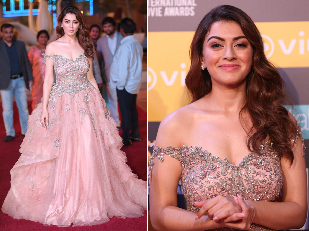 SIIMA Awards Red Carpet 2018 Photo Gallery - Sakshi4