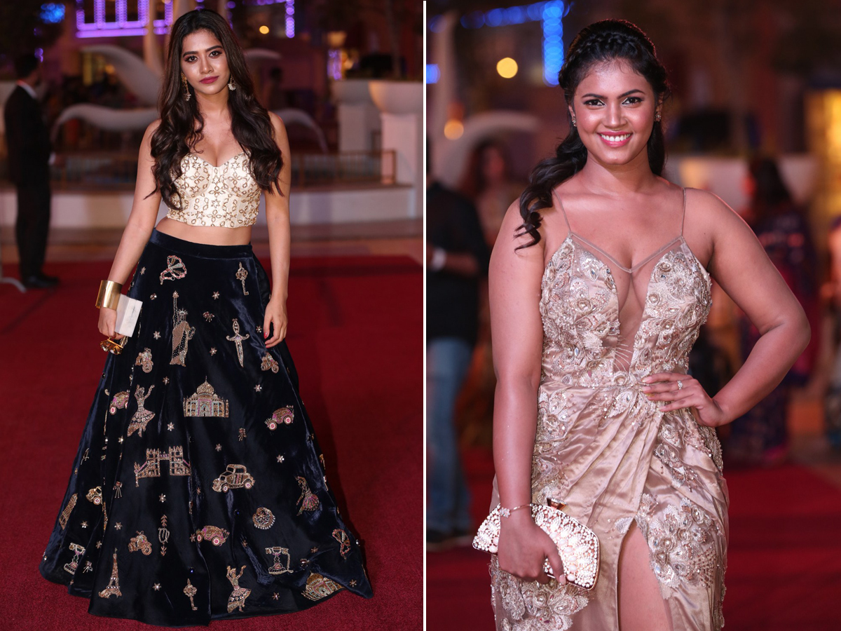 SIIMA Awards Red Carpet 2018 Photo Gallery - Sakshi9