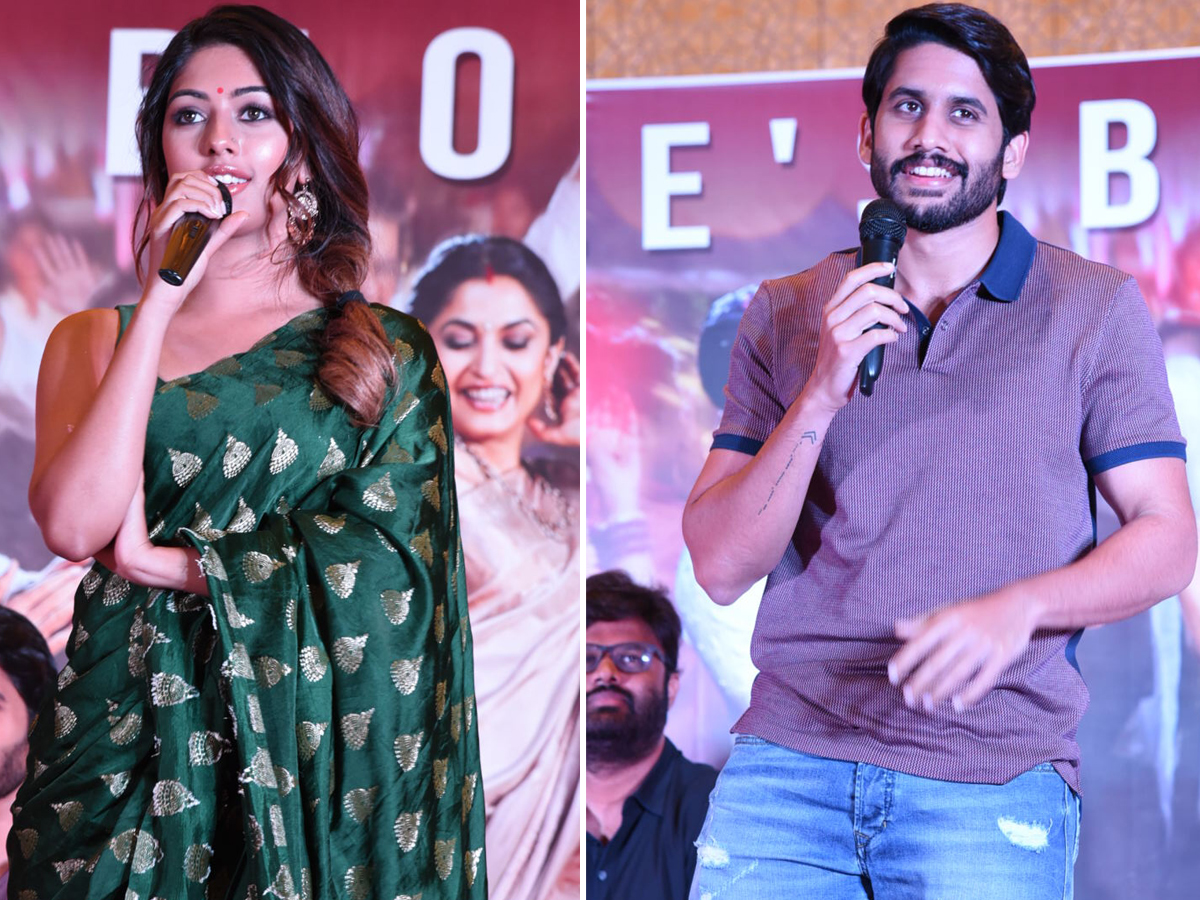 Sailaja Reddy Alludu movie success meet Photo Gallery - Sakshi6