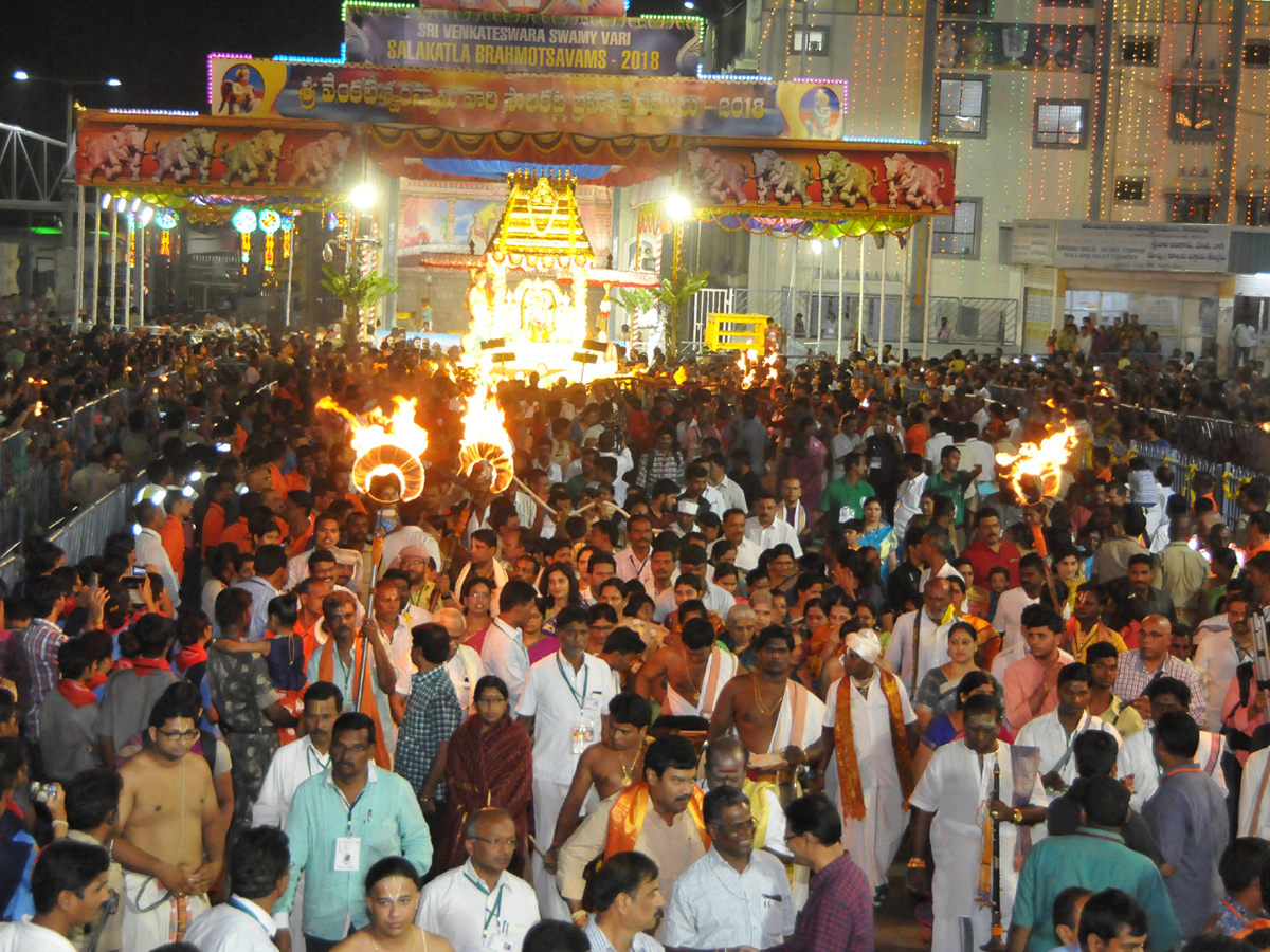 Sarvabhupala Vahana Seva in Tirumala Photo Gallery - Sakshi3