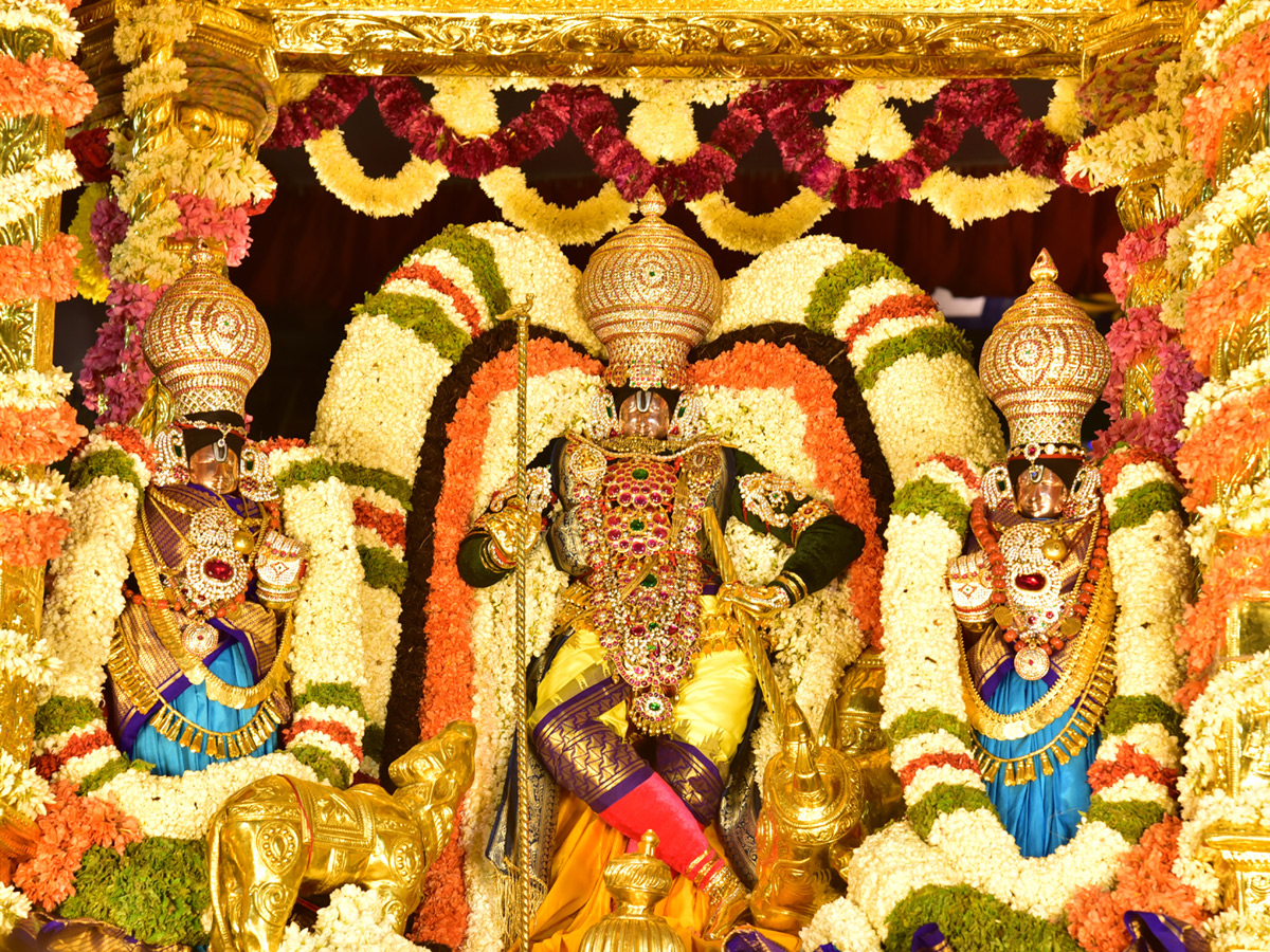 Sarvabhupala Vahana Seva in Tirumala Photo Gallery - Sakshi8