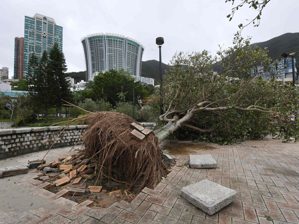 Typhoon Mangkhut hits China Photo Gallery - Sakshi11