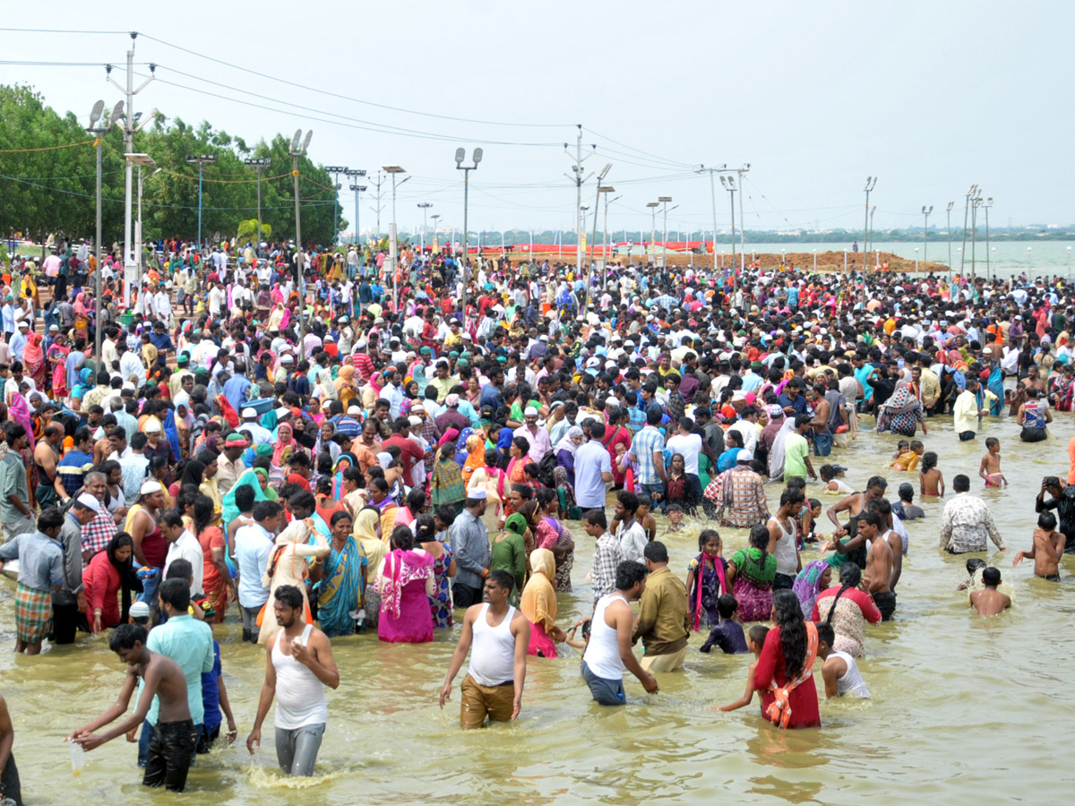 Roti Festival Celebrations 2018 in Nellore Photo Gallery - Sakshi14