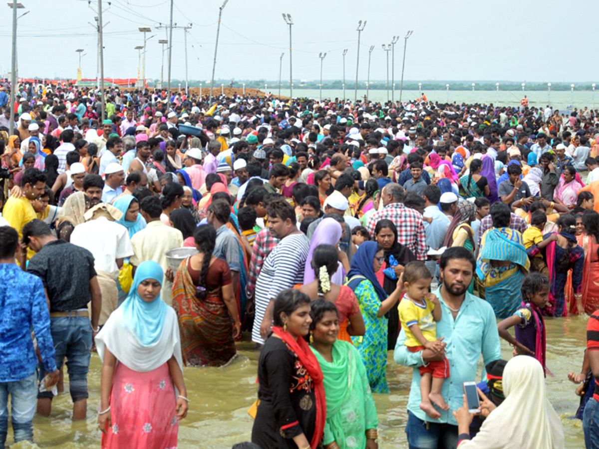 Roti Festival Celebrations 2018 in Nellore Photo Gallery - Sakshi2