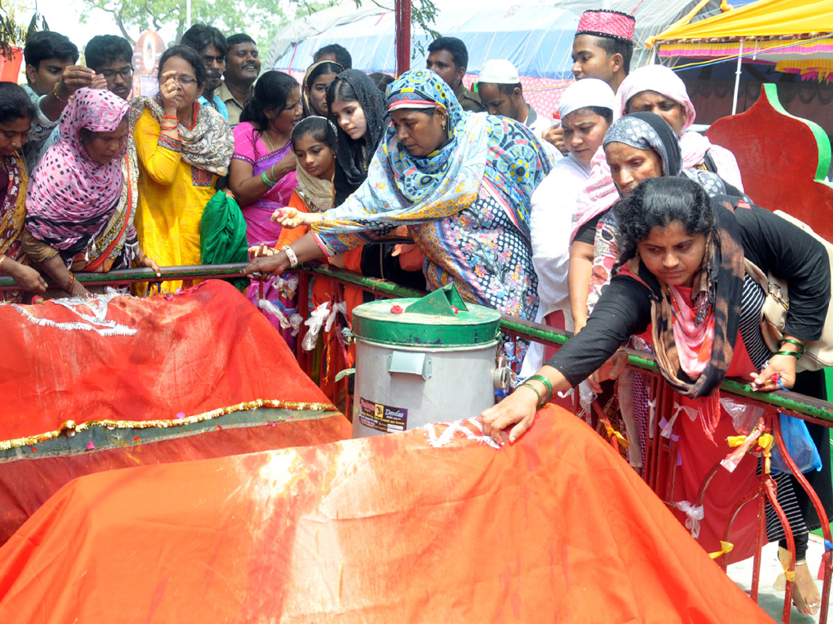 Roti Festival Celebrations 2018 in Nellore Photo Gallery - Sakshi48