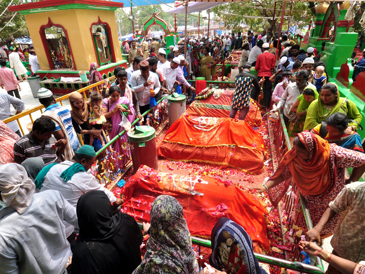 Roti Festival Celebrations 2018 in Nellore Photo Gallery - Sakshi6