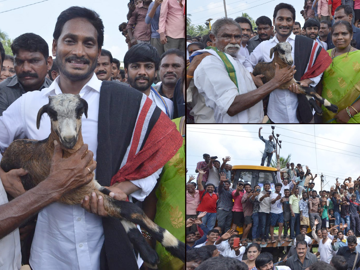 YS Jagan PrajaSankalpaYatra 268th Day Photo Gallery - Sakshi8