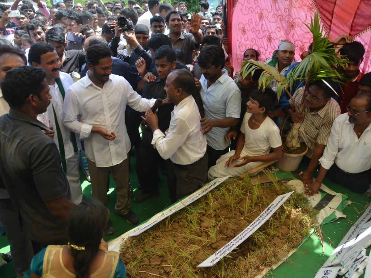 YS Jagan PrajaSankalpaYatra 270th Day Photo Gallery - Sakshi14