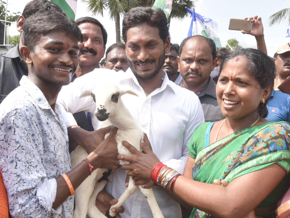 YS Jagan PrajaSankalpaYatra 273rd Day Photo Gallery - Sakshi11