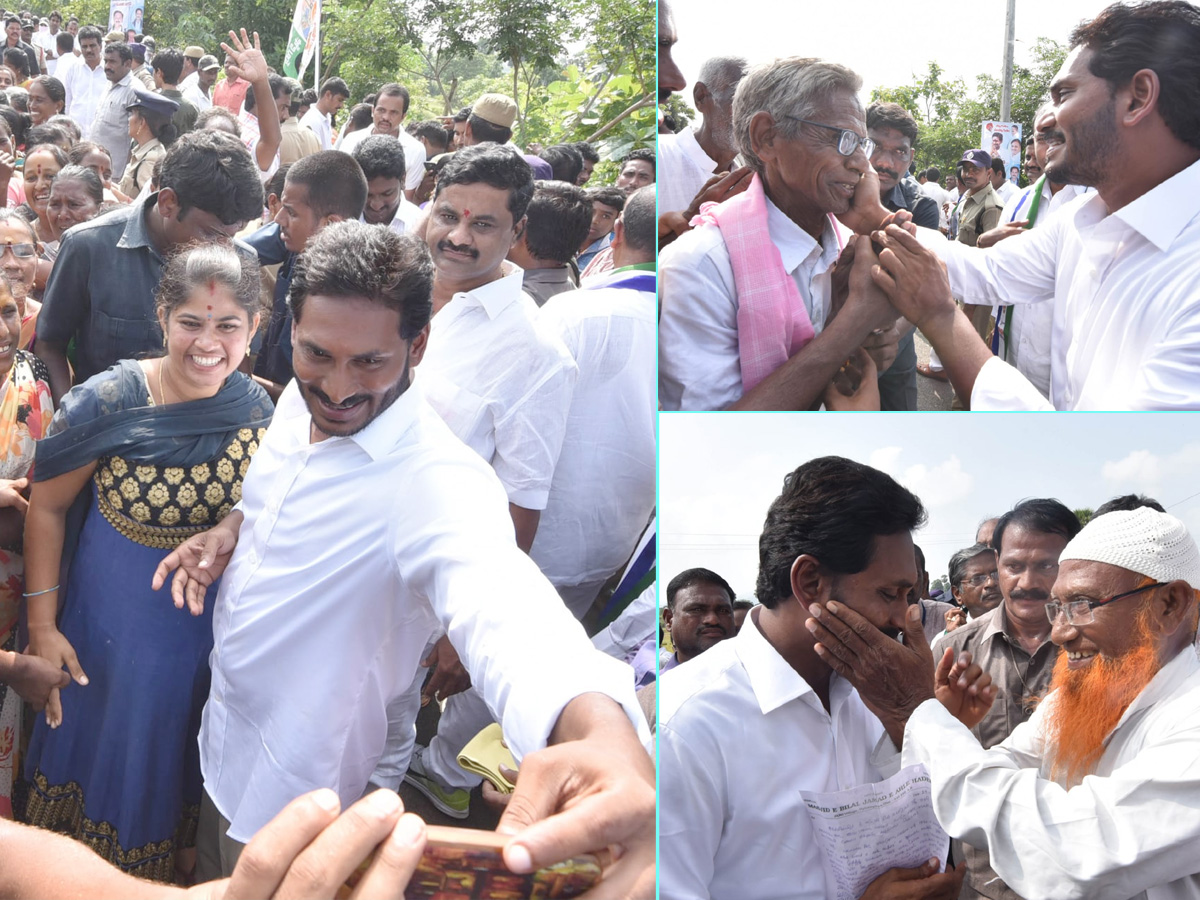 YS Jagan PrajaSankalpaYatra 273rd Day Photo Gallery - Sakshi5