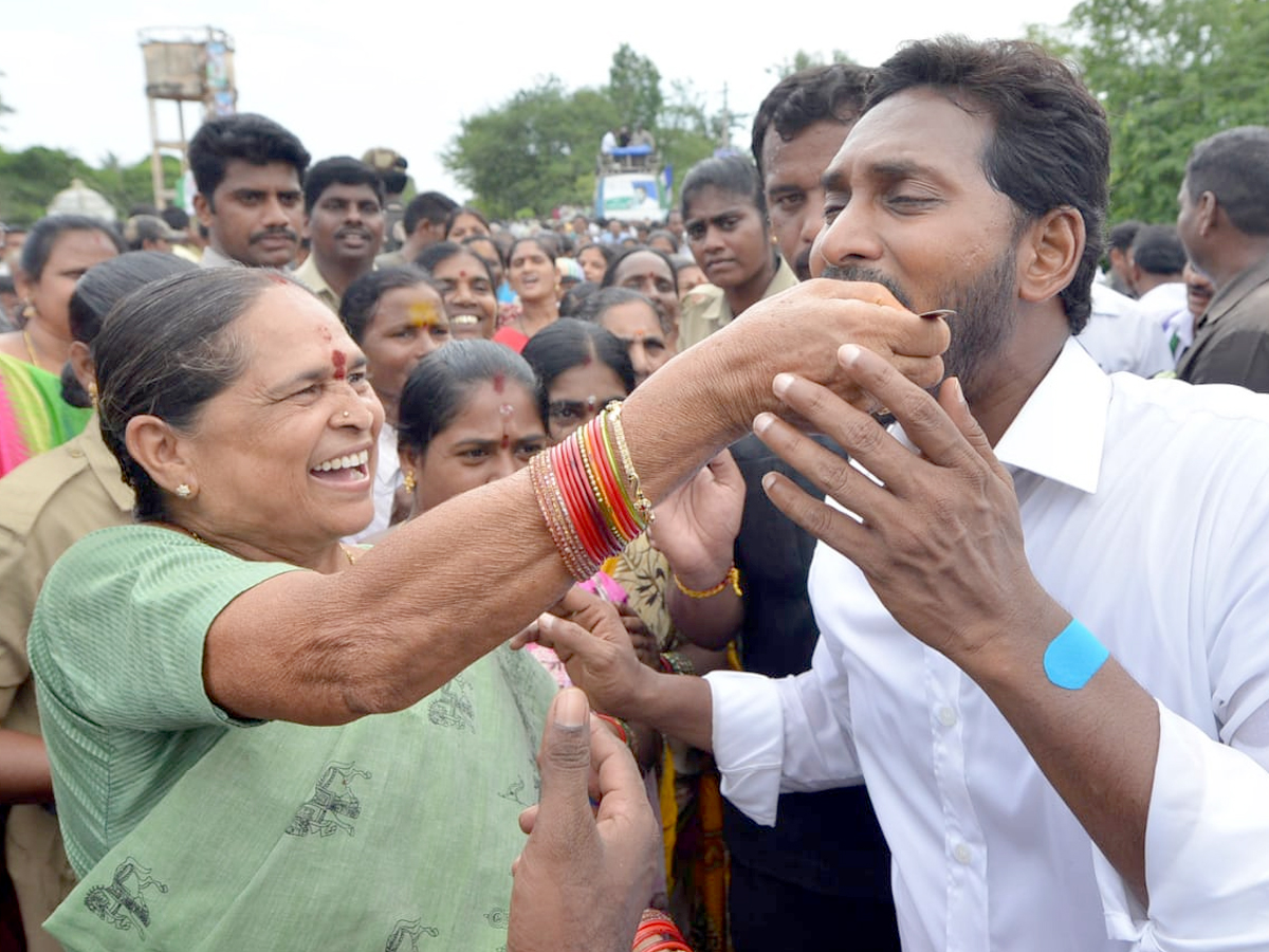 YS Jagan PrajaSankalpaYatra 253rd Day Photo Gallery - Sakshi11