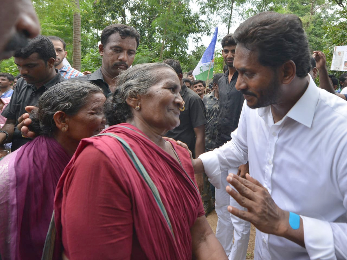 YS Jagan PrajaSankalpaYatra 253rd Day Photo Gallery - Sakshi13