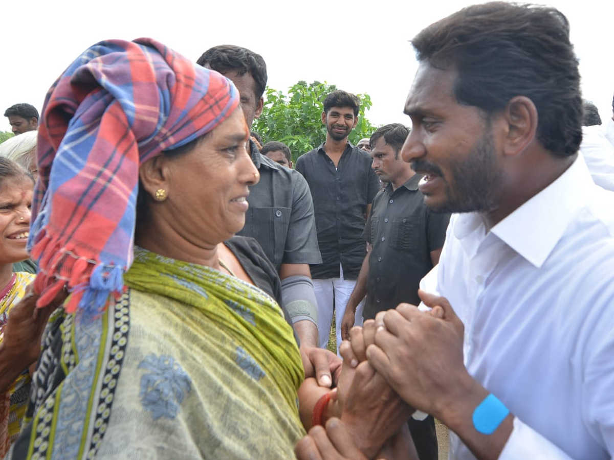 YS Jagan PrajaSankalpaYatra 253rd Day Photo Gallery - Sakshi17