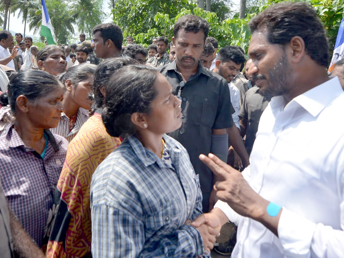 YS Jagan PrajaSankalpaYatra 253rd Day Photo Gallery - Sakshi19