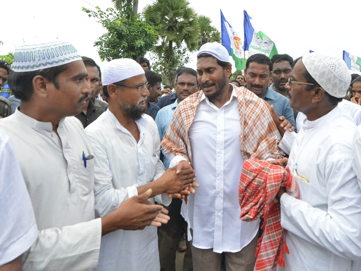 YS Jagan PrajaSankalpaYatra 253rd Day Photo Gallery - Sakshi21