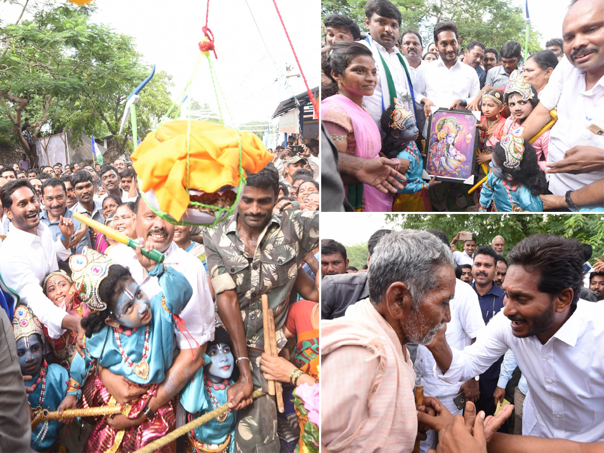 YS Jagan PrajaSankalpaYatra 253rd Day Photo Gallery - Sakshi5