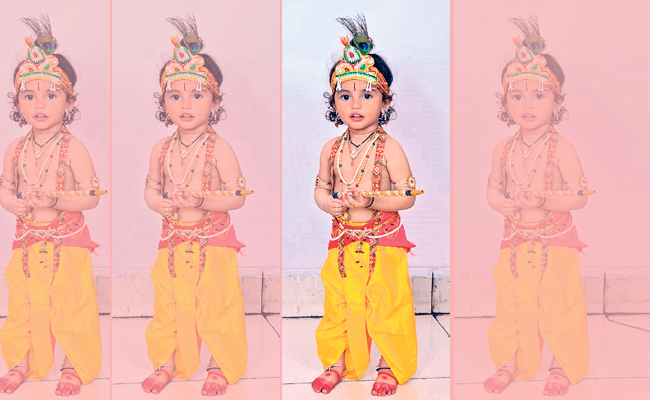 krishna janmashtami hyderabad - Sakshi10