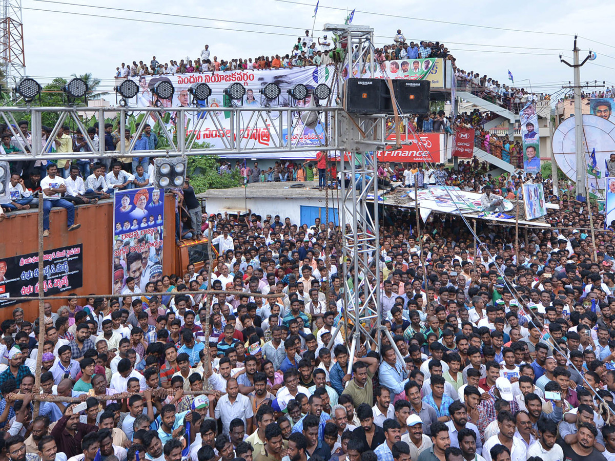 PrajaSankalpaYatra Day 255 Photo Gallery in Sabbavaram - Sakshi14