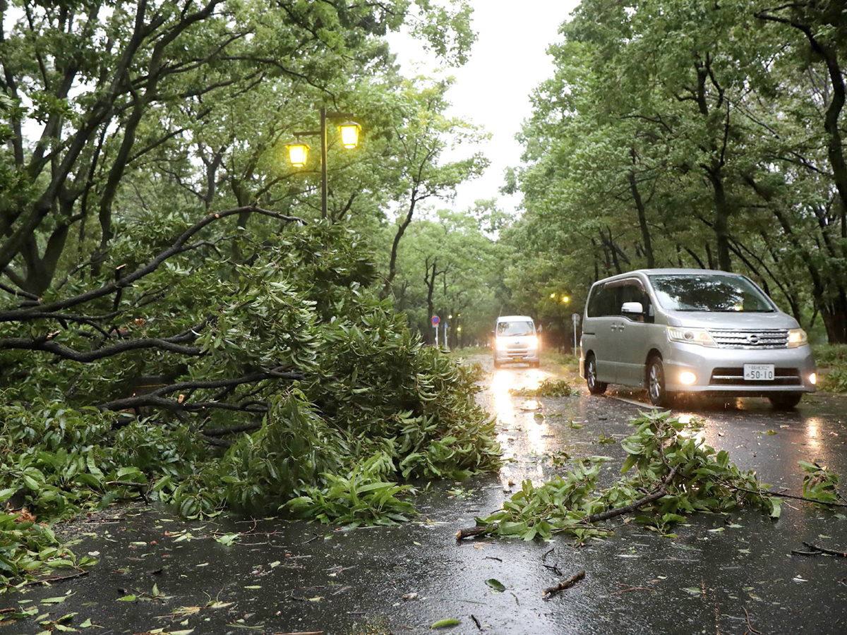 Typhoon Jebi leaves trail of destruction in Japan Photo Gallery - Sakshi15