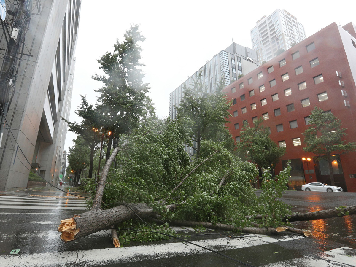 Typhoon Jebi leaves trail of destruction in Japan Photo Gallery - Sakshi18