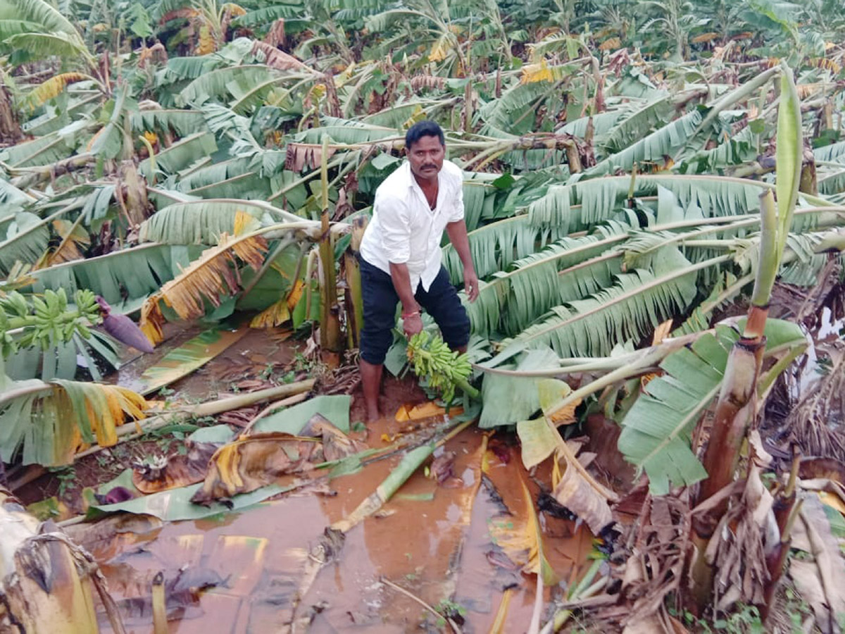 Cyclone Titli in srikakulam Photo Gallery - Sakshi19