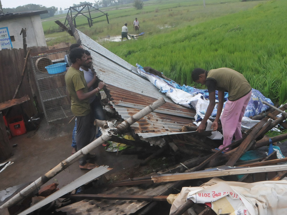 Cyclone Titli in srikakulam Photo Gallery - Sakshi22