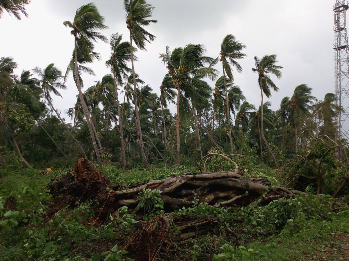 Cyclone Titli in srikakulam Photo Gallery - Sakshi32