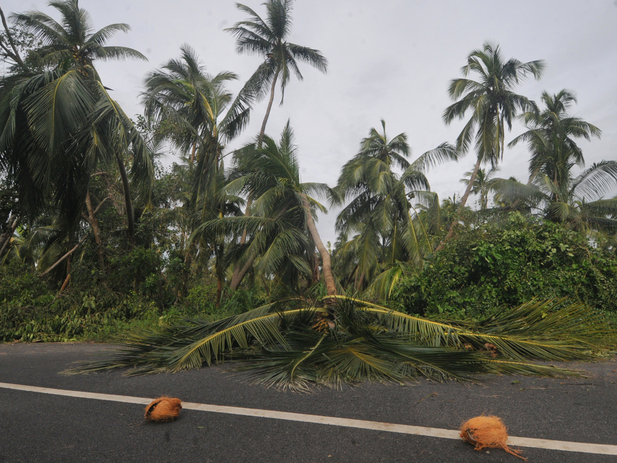 Cyclone Titli Hit Srikakulam Photo Gallery - Sakshi23