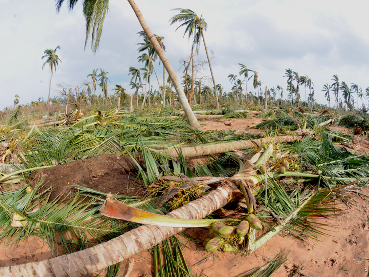 Cyclone Titli Hit Srikakulam Photo Gallery - Sakshi25